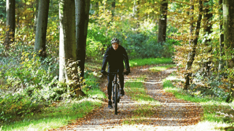 Mountainbike 1 dag