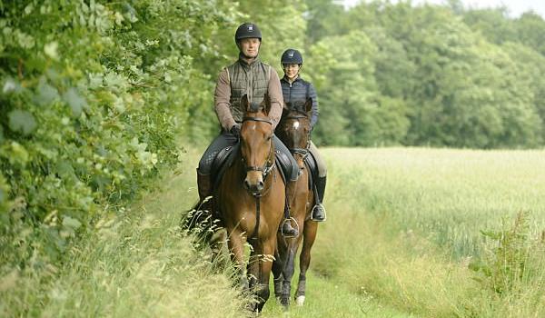 Stiftelsen Sorø Akademi