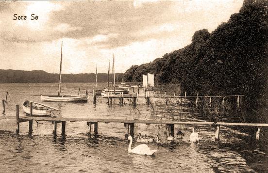 Svaner i Sorø Sø omkring år 1900. Svanerne i Gartnergården