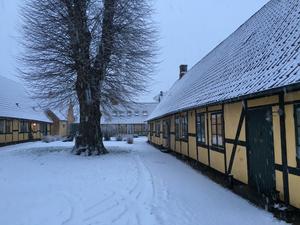 Eksempler på gårdmiljøer ved vores byhuse