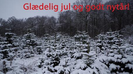 Meddelelser