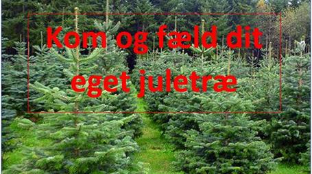 Meddelelser