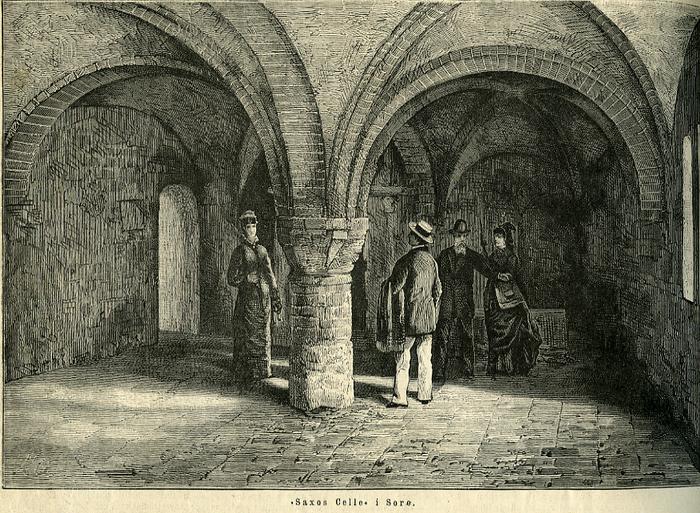 Illustration fra Illustreret Tidende, Nr. 991, 1878. Saxos Celle