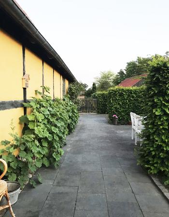 Stiftelsen Sorø Akademi har et smukt hus ved Akademihaven til leje pr. 1. august/1. september.