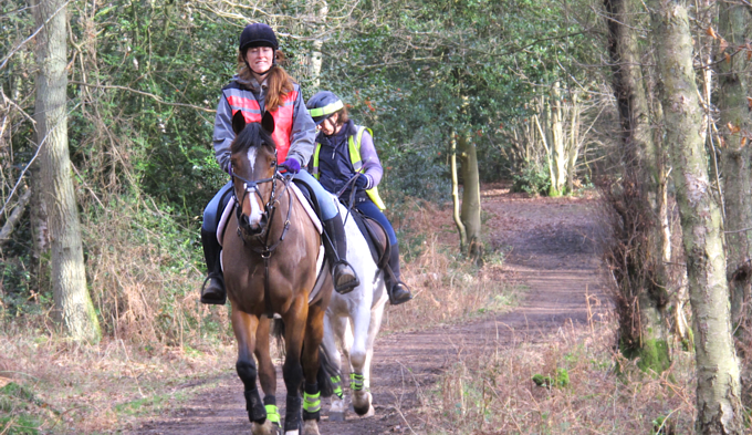 Stiftelsen Sorø Akademi