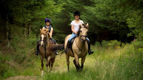 Stiftelsen Sorø Akademi