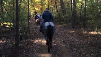 Stiftelsen Sorø Akademi