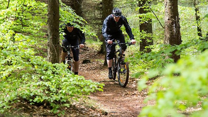 Stiftelsen Sorø Akademi